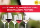 GIEMME – [VIDEOPOST] Alla scoperta del terroir altoatesino: Gewürztraminer & Pinot Nero