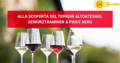 GIEMME – [VIDEOPOST] Alla scoperta del terroir altoatesino: Gewürztraminer & Pinot Nero