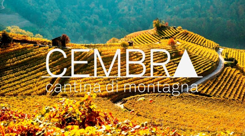 Corriere del Vino – CEMBRA Cantina di Montagna, la nuova collezione