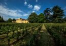 Vinonews24 – Mosnel, lo stile e la cura del tempo nei suoi Franciacorta