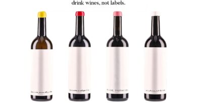 VinoNews24 – Drink Wines, Not Labels: il manifesto enoico di Alessandro Salvano in dwnl