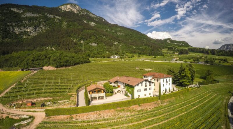 VinoNews24 – Brut Nature 2021, il nuovo TrendoDoc di Maso Martis