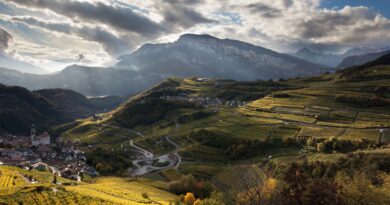 VinoNews24 – Sulle Tracce dei Moser, velocisti con radici antiche
