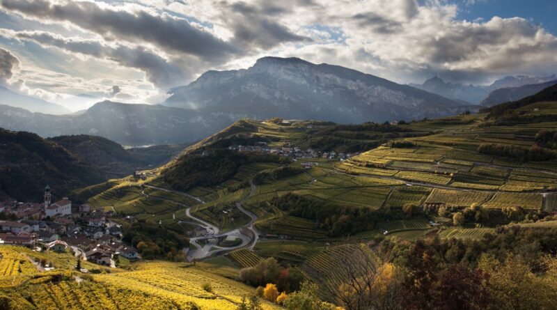 VinoNews24 – Sulle Tracce dei Moser, velocisti con radici antiche